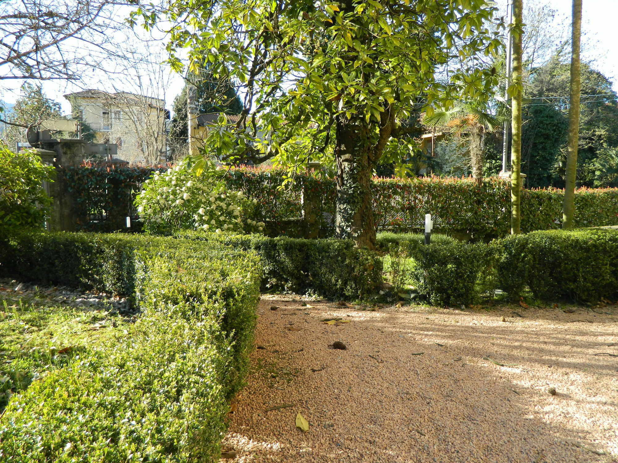 Hotel Carducci 24 *