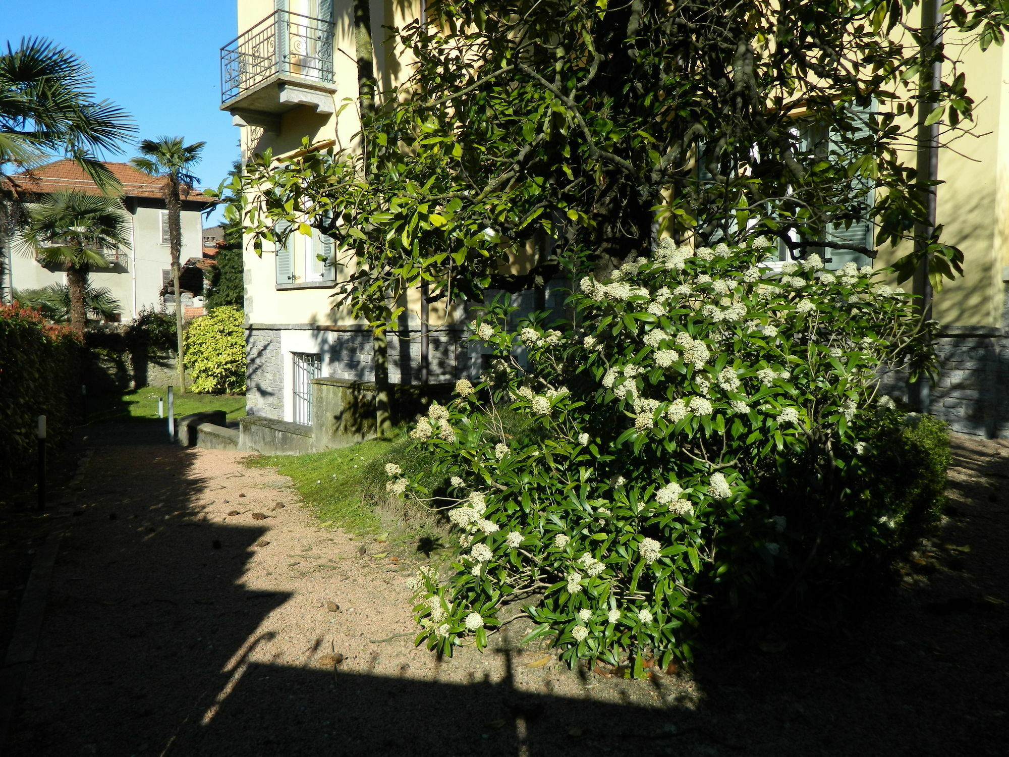 Carducci 24